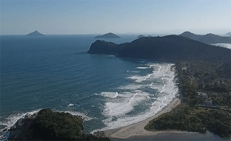 Camburi